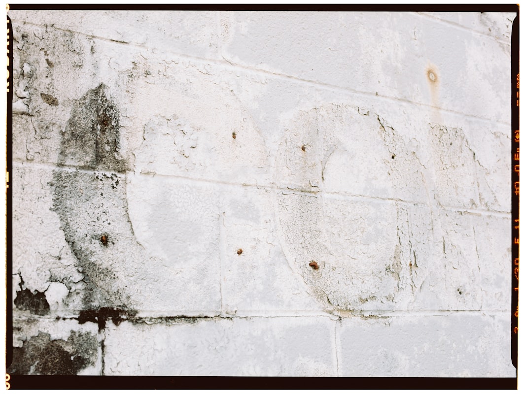 Storm Damage Repair service in Lauderhill, FL