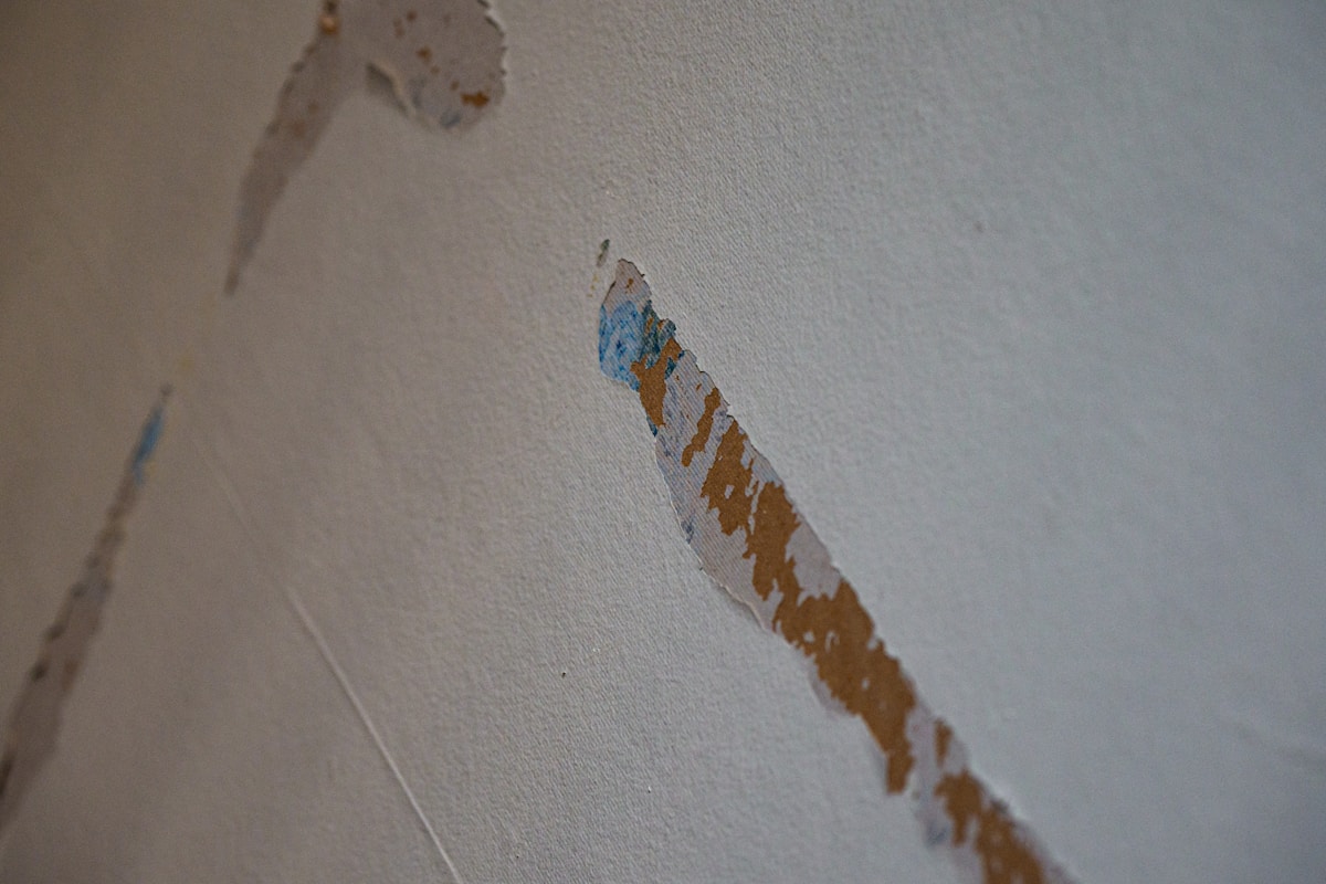 Mold Remediation service in Lauderhill, FL